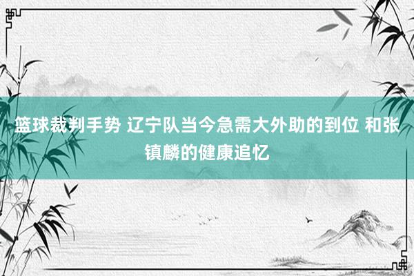 篮球裁判手势 辽宁队当今急需大外助的到位 和张镇麟的健康追忆