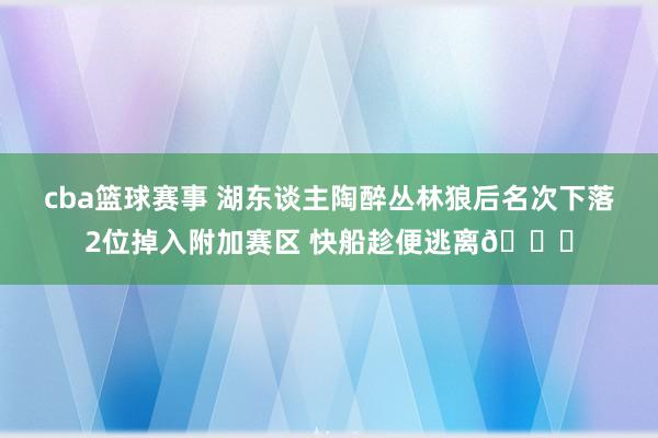 cba篮球赛事 湖东谈主陶醉丛林狼后名次下落2位掉入附加赛区 快船趁便逃离😋