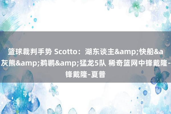 篮球裁判手势 Scotto：湖东谈主&快船&灰熊&鹈鹕&猛龙5队 稀奇篮网中锋戴隆-夏普